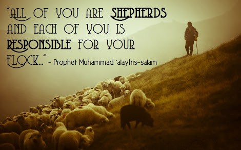 shepherd leadership lessons quran hadith sheep am sunnah being flock islamic islam shepherds qualities living